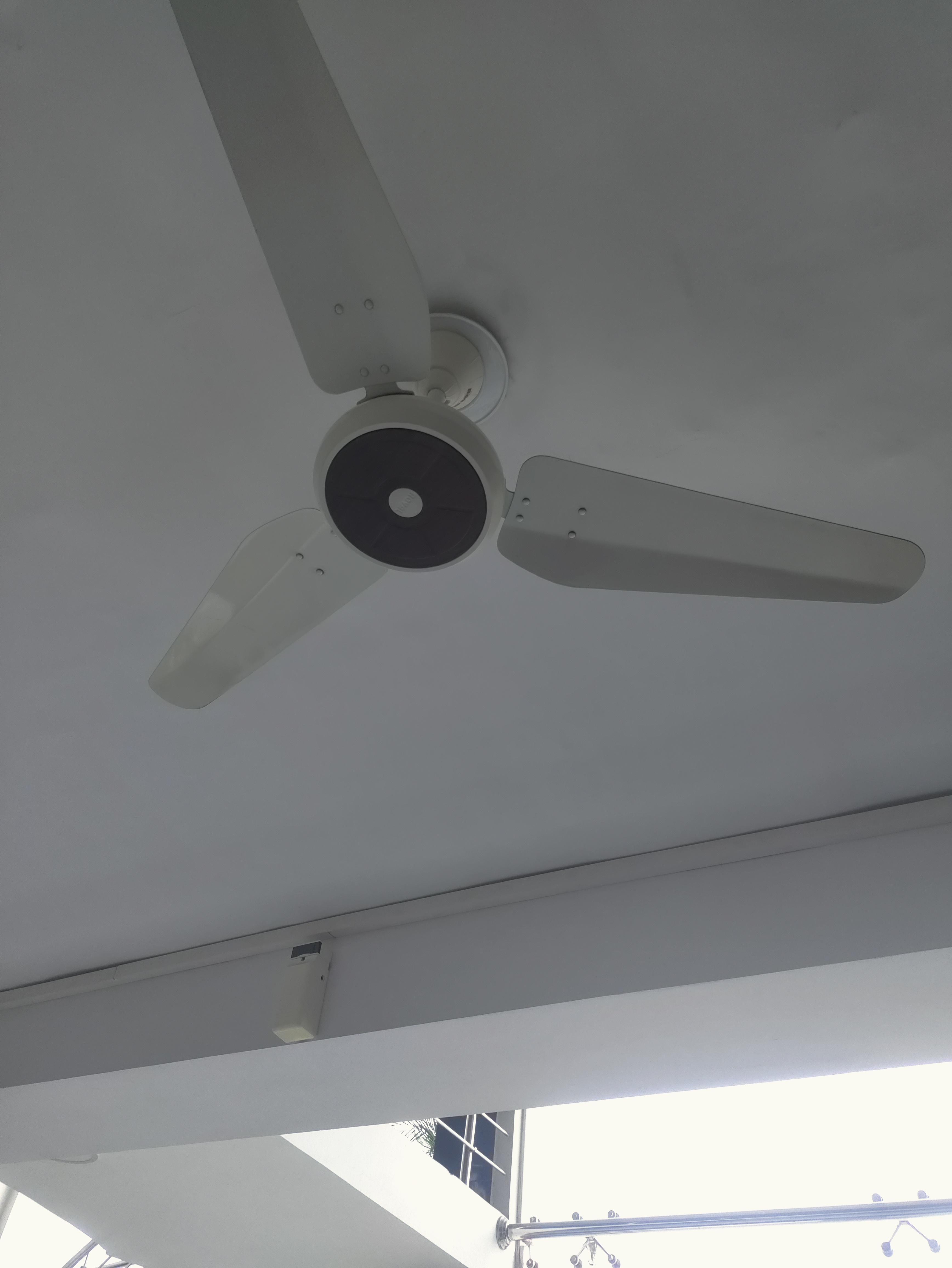 Fan
