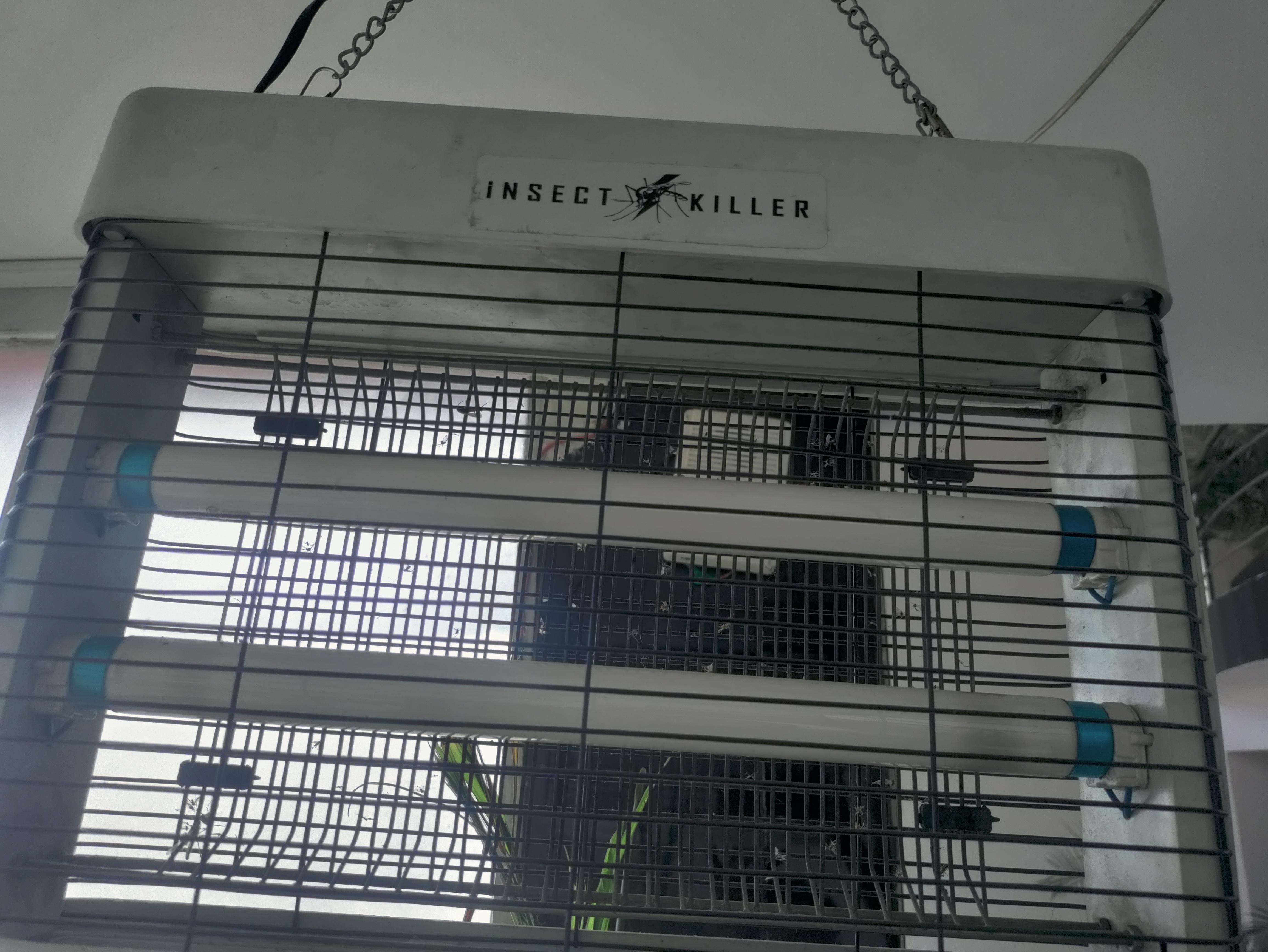 insect killer